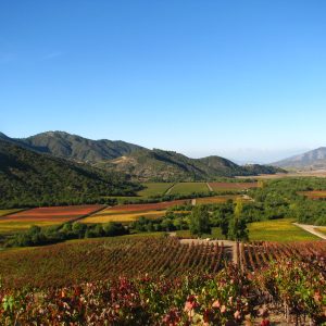 Vik Chile - Media Pensión - Familiar